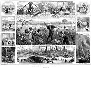 Levee: Cotton Picking 1881