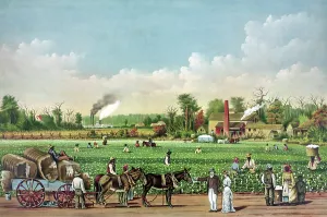 Currier: A cotton plantation on the Mississippi
