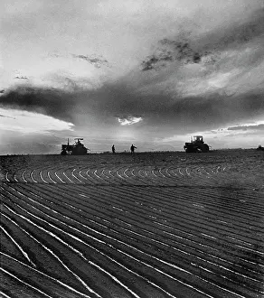 Sadchikov: Cotton processing, 1977