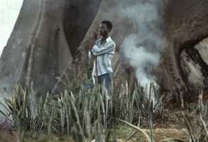 Freetown: The Cotton Tree, Sierra Leone