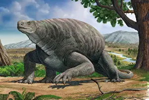 Overweight: Cotylorhynchus bransoni, a prehistoric animal from the ?
