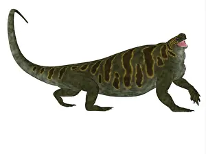 Markings: Cotylorhynchus dinosaur, side profile