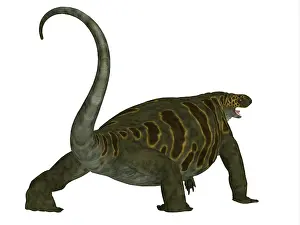 Markings: Cotylorhynchus dinosaur, rear view