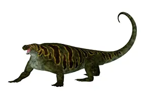 Markings: Cotylorhynchus prehistoric reptile, side view