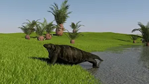 Overweight: Cotylorhynchus on the shore