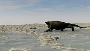 Puddle: A Cotylorhynchus along the shores of a prehistoric ?