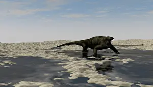 Puddle: A Cotylorhynchus along the shores of a prehistoric ?