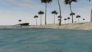 Overweight: A Cotylorhynchus along the shores of a prehistoric ?
