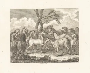Servitude: The Council of Horses