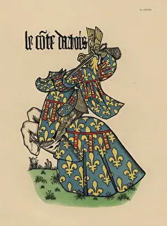 Equestre: Count of Artois, Comte d'Artois