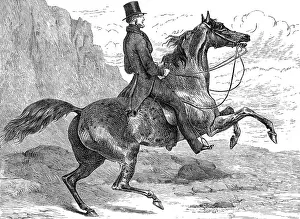 Lifelong: COUNT D'ORSAY