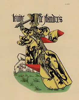 Rampant: Count of Flanders, Comte de Flandre