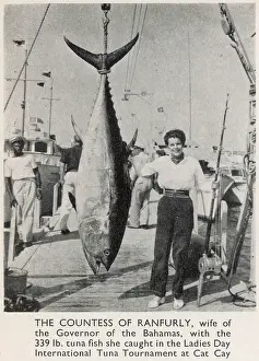 Tuna: The Countess of Ranfurly