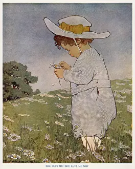 Superstition: Counting Daisy Petals