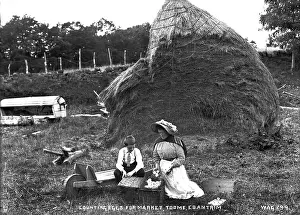 Toome: Counting Eggs for Market, Toome Co Antrim