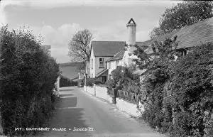 Hedges: Countisbury Village