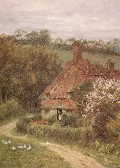 Nestles: Country Cottage
