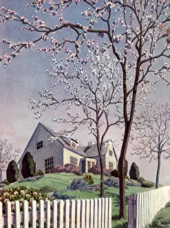 Lawns: Country House