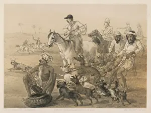 Sporty: COUNTRY HUNT IN INDIA
