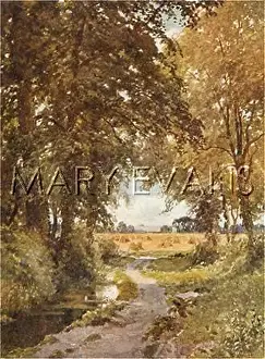 Didcot: A COUNTRY LANE