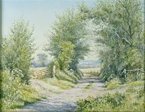 Mervyn: Country Lane ' with iron gate on the left