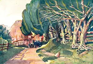 Claes: Country Lane On Salisbury Plain