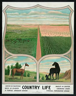 C1904: Country life