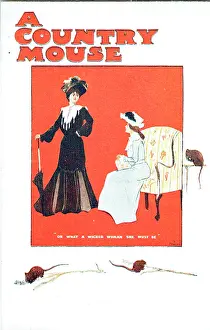 Muir: A Country Mouse by Arthur Law