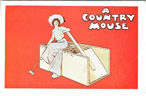 Caged: A Country Mouse by Arthur Law