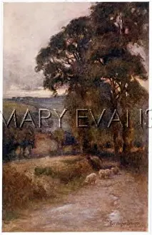 Strayed: COUNTRY PATH WITH SHEEP