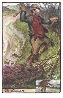 Hedger: Country Pursuits - Hedger
