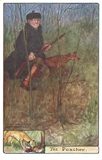 Country Pursuits - Poacher