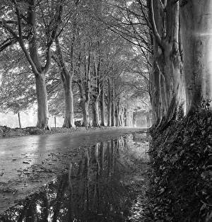 Puddles: Country Road