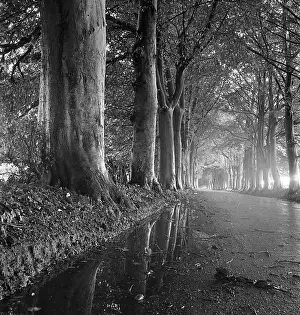 Puddles: Country Road