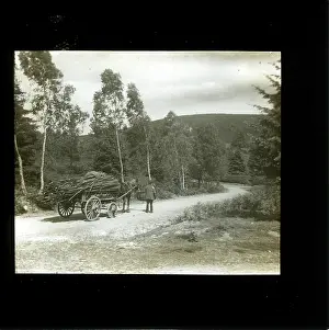 Godalming: Country Road, Thursley, Surrey