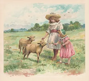 Peter & Dawn Cope Collection: Country Scene