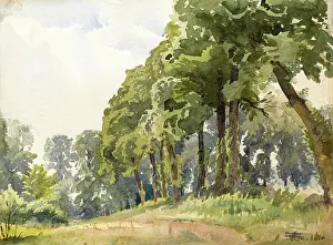 Sheppard: Country scene with trees