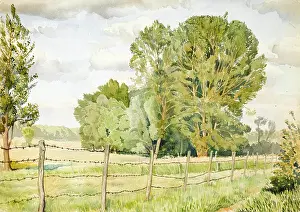 Sheppard: Country scene with trees and fields