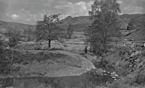 Trossachs: Country scene with trees and water