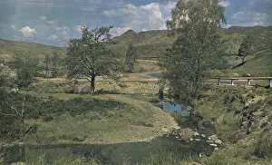 Trossachs: Country scene with trees and water