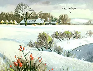 Shannon: Country Snowscene