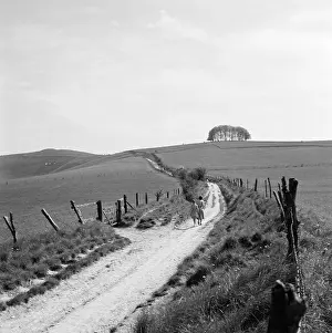 Cherhill: Country Track