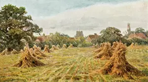 Stooks: COUNTRYSIDE FIELD 1906