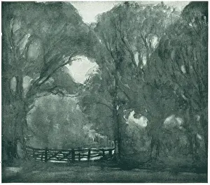Fenced: Countryside Gate