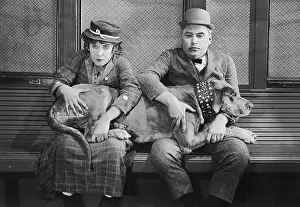 Stress: Couple with big dog on laps