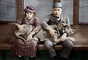Stress: Couple with big dog on laps