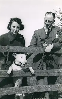 Plaited: Couple with a bull terrier