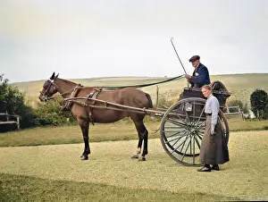 John Maclellan: Couple with horse-drawn trap
