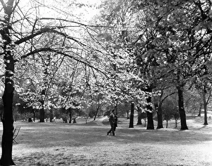Anthony Christie Collection: COUPLE IN HYDE PARK