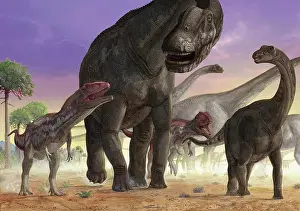 Overweight: A couple of predator Mapusaurus try to isolate a herd of ?